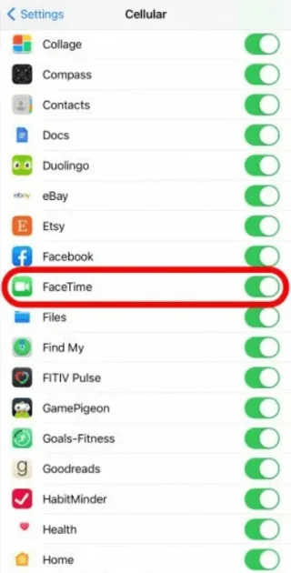 FaceTime iOS 15'te Çalışmıyor veya Donmaya Devam Ediyor: Çözüldü