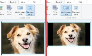 Quelques trucs et astuces de base pour maîtriser Windows Movie Maker
