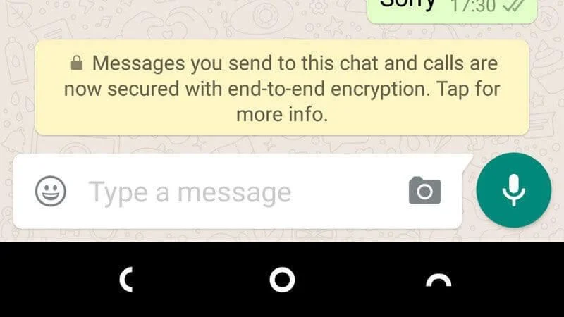 Privacy su WhatsApp: tutto ciò che devi sapere