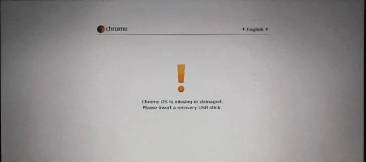 Bagaimana Cara Mengaktifkan Mode Pengembang Chrome OS?