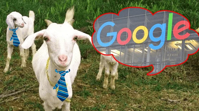 Selamat Ulang Tahun ke-21 Google!  Ketahui 21 Fakta Gila!