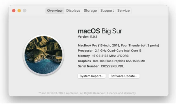 วิธีทำให้ดาวน์โหลดเร็วขึ้นบน Mac |  เคล็ดลับในการเพิ่มความเร็วในการดาวน์โหลด (2021)