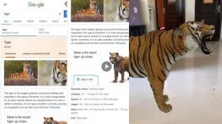 Rzeczywistość rozszerzona: jak korzystać z Google 3D Animals