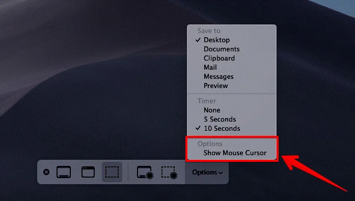 macOS Mojave에서 화면을 녹화하고 스크린샷을 찍는 방법