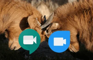 Google Meet vs Duo: Aplikasi Panggilan Video Mana yang Lebih Baik untuk Anda