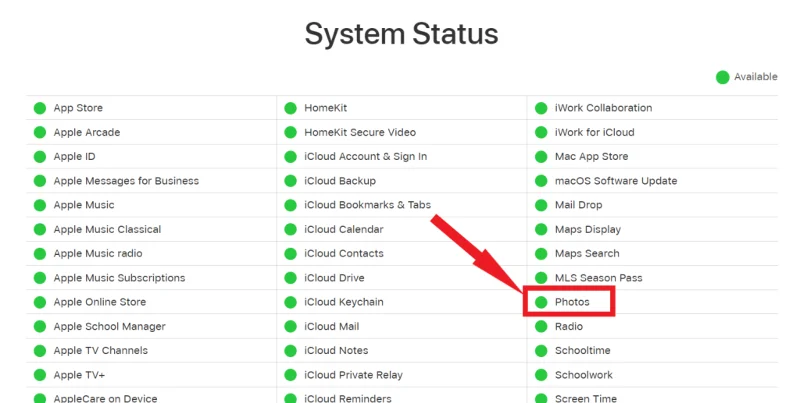 How To Fix iCloud Photos Not Showing On iPhone? How To Fix iCloud Photos Not Showing On iPhone?