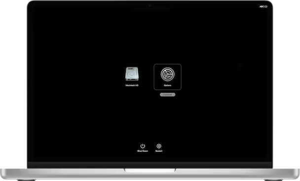 How To Recover Deleted Files From USB Flash Drive