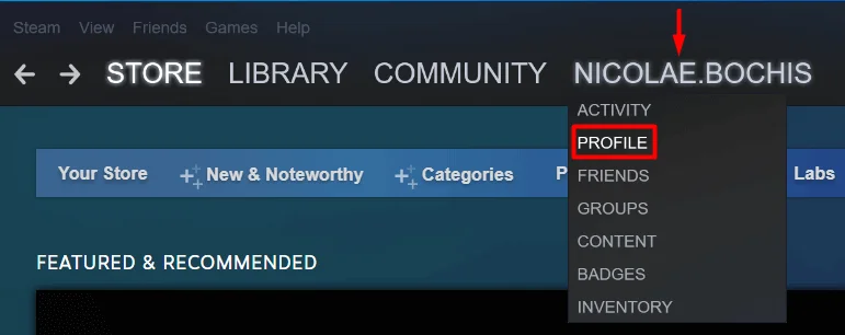 Comment trouver votre identifiant Steam