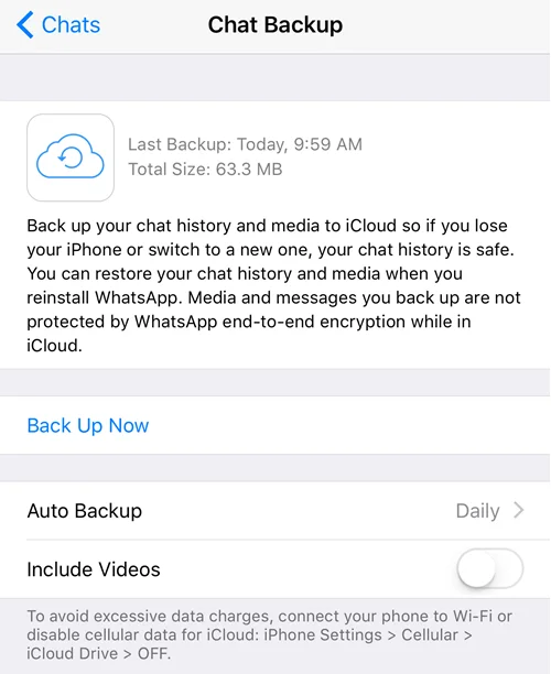 Cara Mengurangkan Saiz WhatsApp pada iPhone Anda