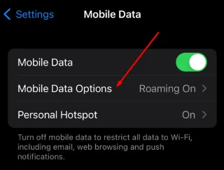 Apakah Perayauan Data dan Bagaimana Ia Berfungsi?