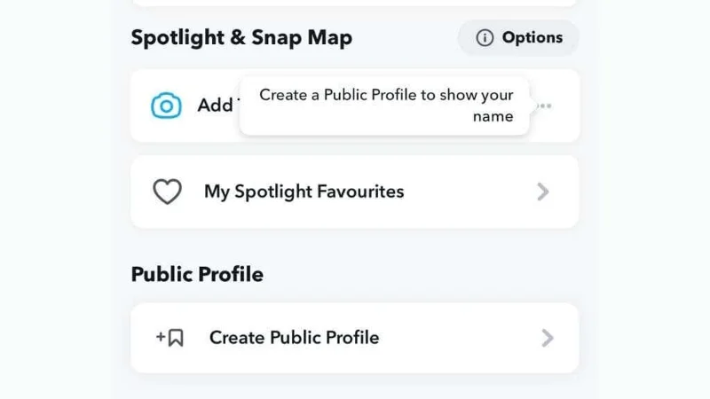 Ce este un profil public pe Snapchat și cum să faci unul?