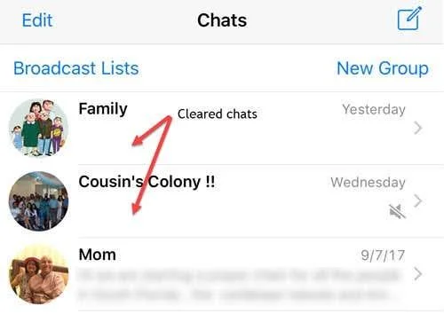 Cara Mengurangkan Saiz WhatsApp pada iPhone Anda