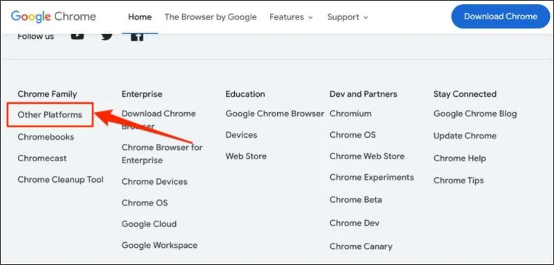 Apakah Versi Google Chrome yang Saya Ada?