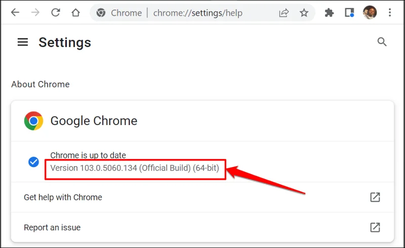 Apakah Versi Google Chrome yang Saya Ada?