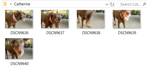 Cara Mengubah Saiz Foto Pukal Menggunakan Windows 10