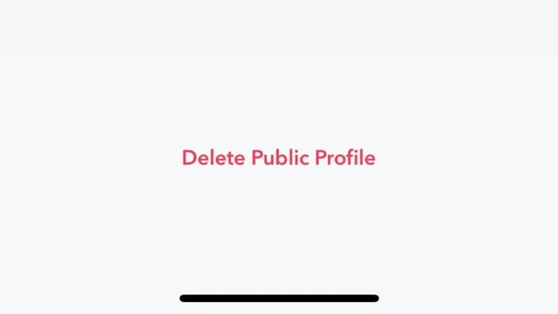 Ce este un profil public pe Snapchat și cum să faci unul?