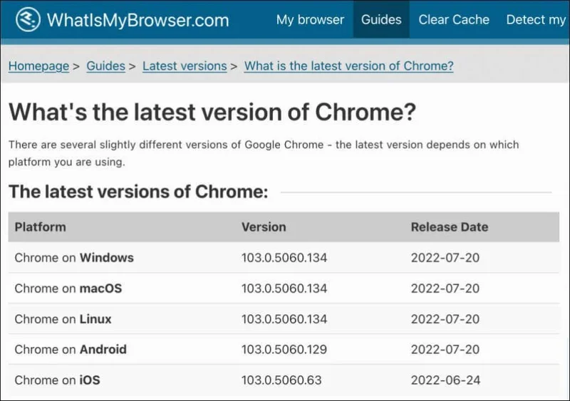 Apakah Versi Google Chrome yang Saya Ada?