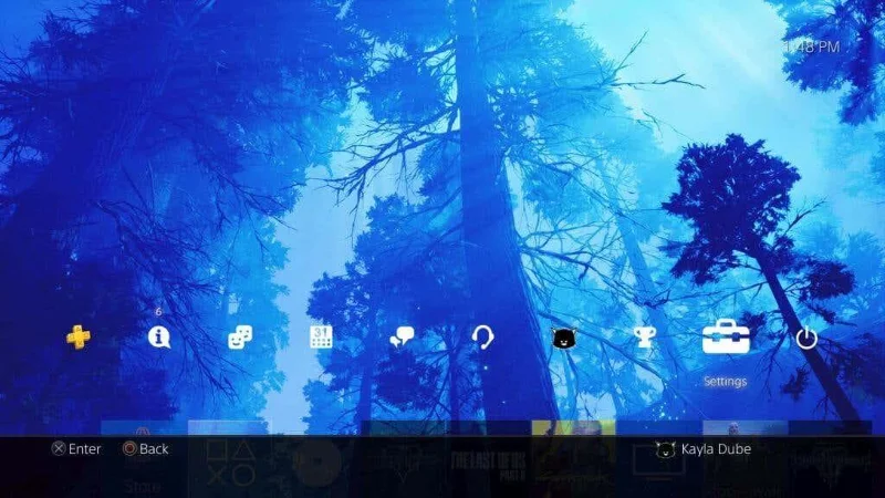 Cum să ștergeți datele jocului pe PS4
