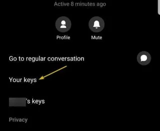 Comment envoyer des messages d'autodestruction dans Facebook Messenger