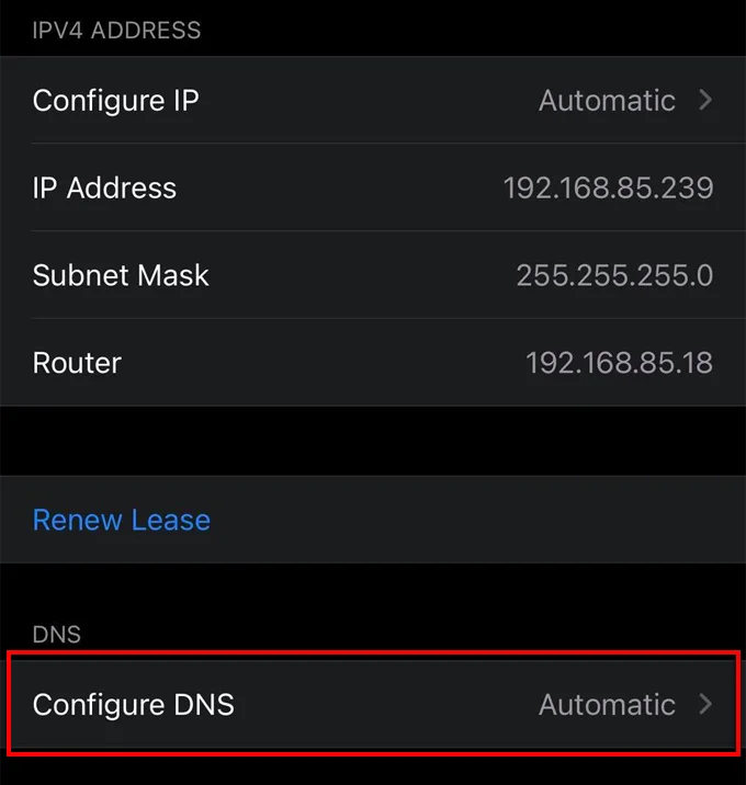 Qu'est-ce qu'un DNS privé et comment l'utiliser