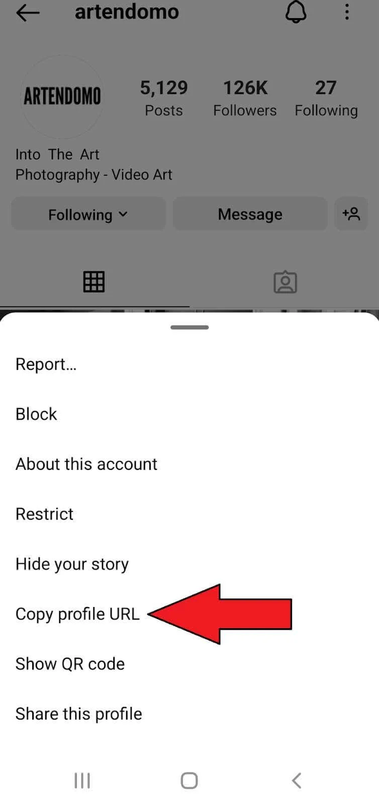 Instagram 프로필 링크를 복사하고 공유하는 방법