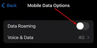 Apakah Perayauan Data dan Bagaimana Ia Berfungsi?
