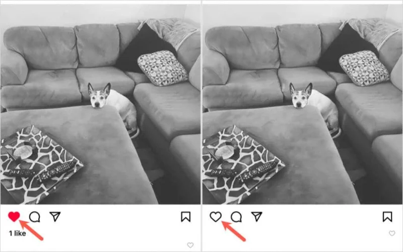 Instagram에서 좋아요를 누른 게시물을 보는 방법