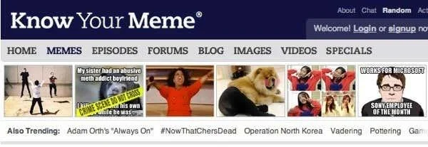 Cum să te ții la curent cu cele mai recente meme-uri pe internet