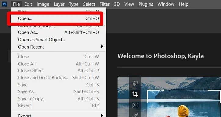 Cum să transferați artă în Procreate în Photoshop cu straturi