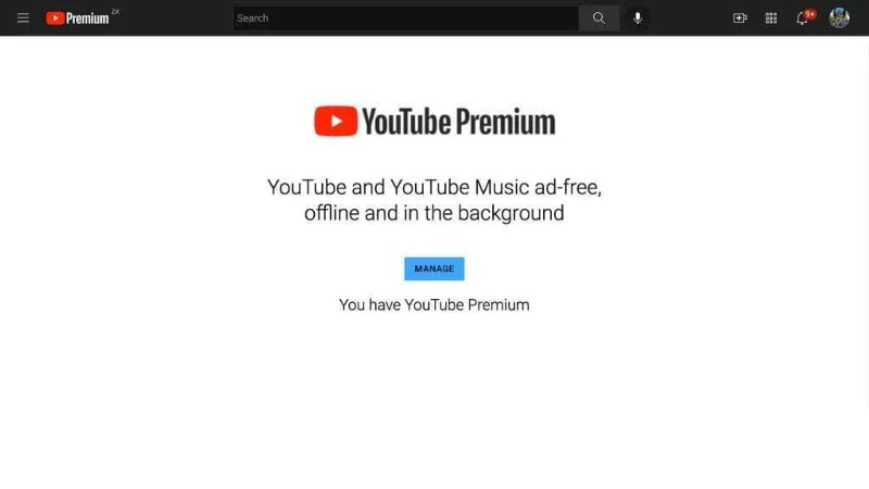 광고 없이 YouTube를 시청하는 5가지 방법