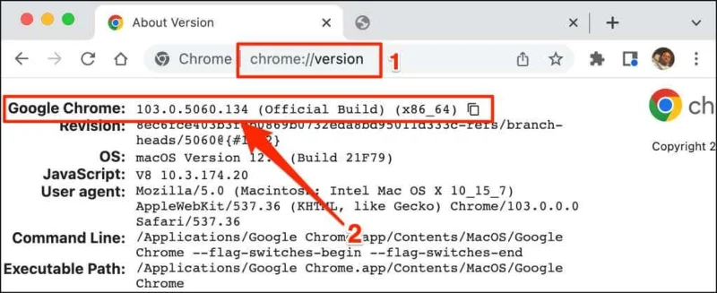 Apakah Versi Google Chrome yang Saya Ada?