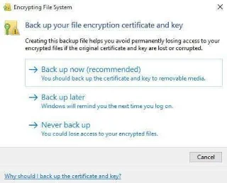 Cum să decriptați fișierele Windows criptate