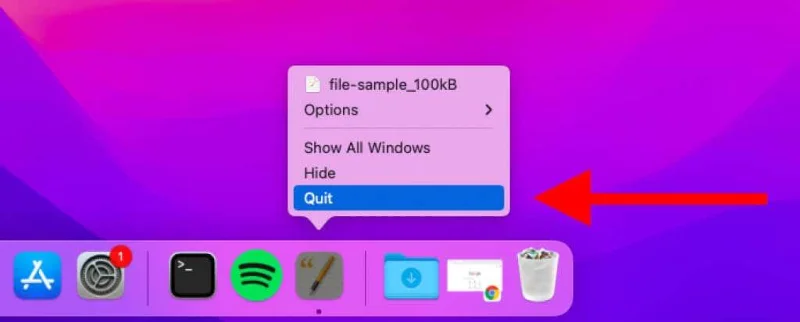 Snel de prullenbak legen in macOS met behulp van Terminal