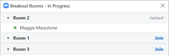 Cum să comutați între camerele de evaziune în Zoom