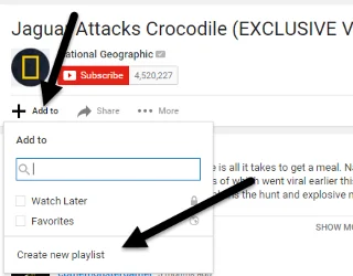 Cum să faci videoclipuri YouTube în buclă continuă