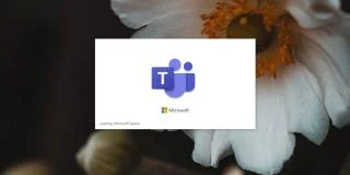 Bagaimana membedakan antara pemilik Microsoft Teams vs anggota