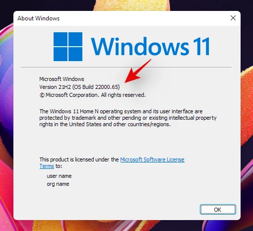 Windows 11 버전 확인 방법