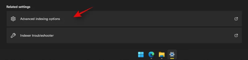 Windows 11에서 검색하는 방법: 알아야 할 모든 것