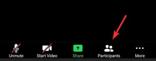วิธีให้คนใน Zoom