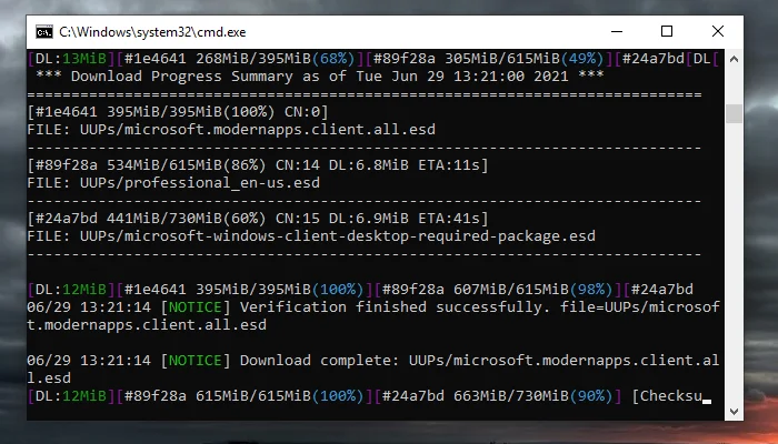 내부 개발자 채널 빌드용 Windows 11 ISO를 다운로드하는 방법