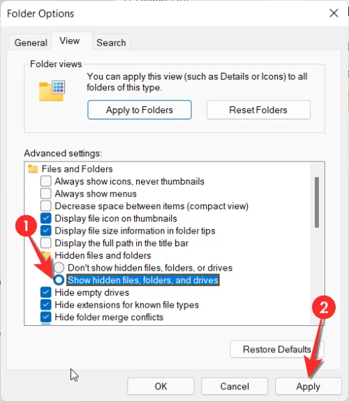 Windows 11에서 숨겨진 파일을 표시하는 방법