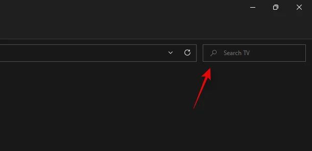 Windows 11에서 검색하는 방법: 알아야 할 모든 것