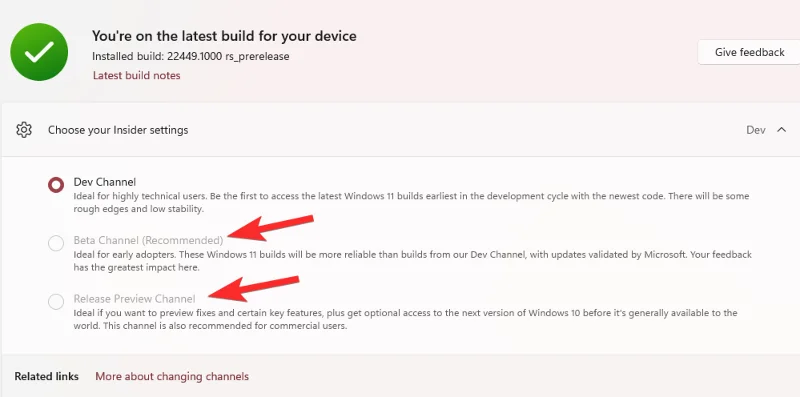Windows 11에서 Windows 참가자 프로그램 옵션이 회색으로 표시되는 이유는 무엇입니까?  어떻게 고치는 지