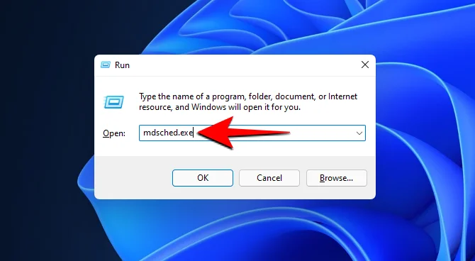 Windows 11 BSOD(죽음의 검은 화면)를 수정하는 방법