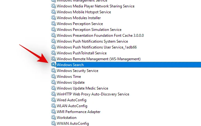 Windows 11에서 검색하는 방법: 알아야 할 모든 것