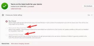 Windows Insider Program seçenekleri neden Windows 11de gri görünüyor? Nasıl düzeltilir