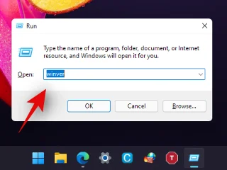 Windows 11 버전 확인 방법