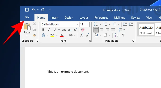 Windows 11에서 파일 형식을 변경하는 방법: 기본 및 고급 방법!