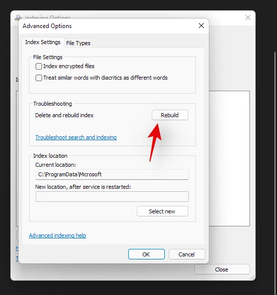 Windows 11에서 Windows 검색 높은 CPU 또는 디스크 사용량을 수정하는 방법