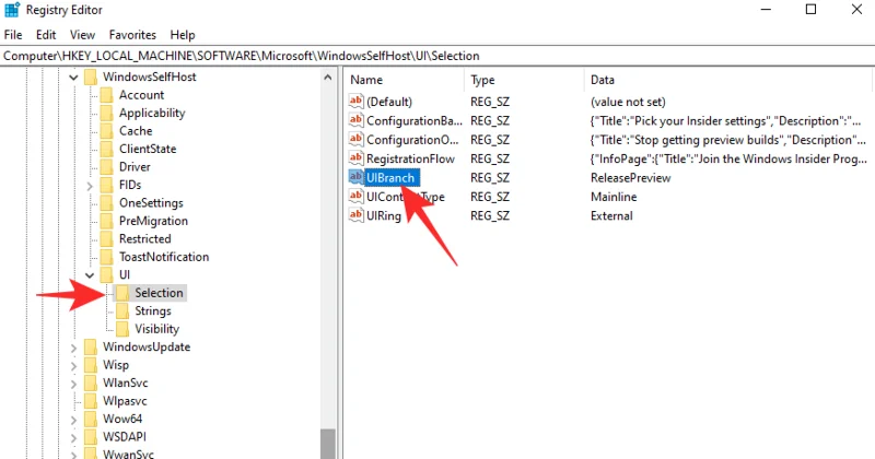 Windows 11에서 Windows 참가자 프로그램 옵션이 회색으로 표시되는 이유는 무엇입니까?  어떻게 고치는 지
